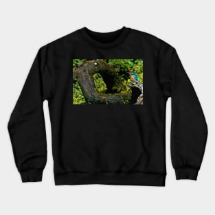 LIVING THE LATRINE LIFE ! Crewneck Sweatshirt